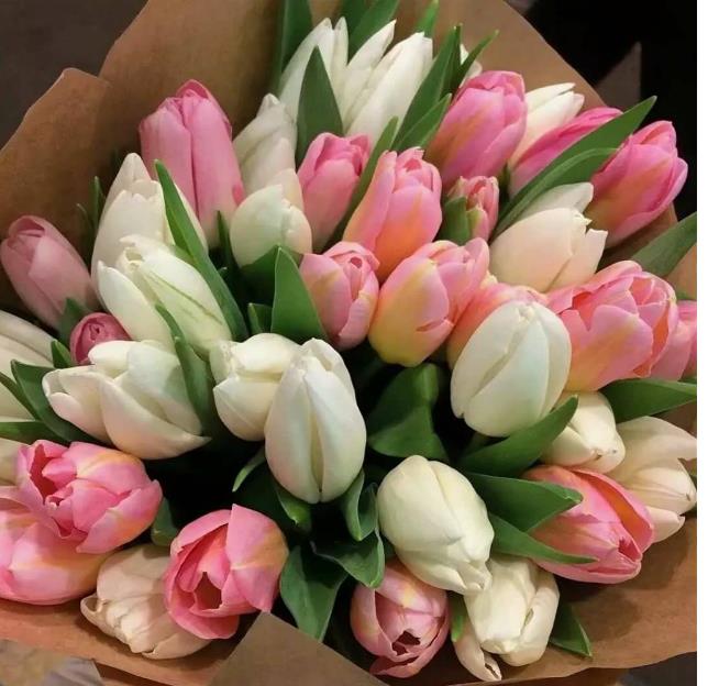 С Международным женским днем 8 Марта!