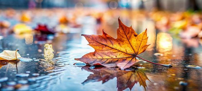 Осень – время навести порядок!