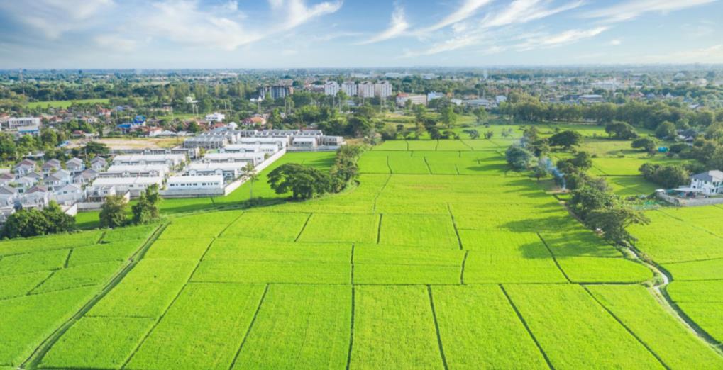 Перечни свободных земельных участков доступны в Едином реестре имущества