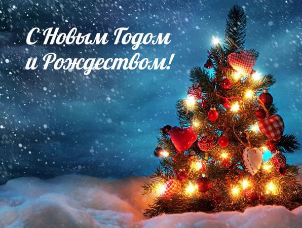 С Новым годом и Рождеством !