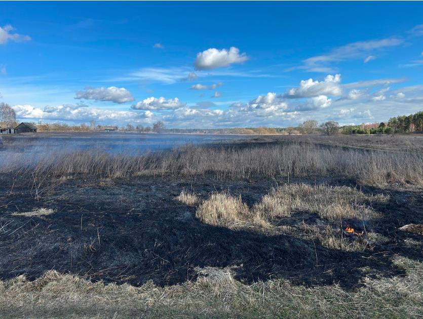 Пожары в экосистемах Пожары в экосистемах